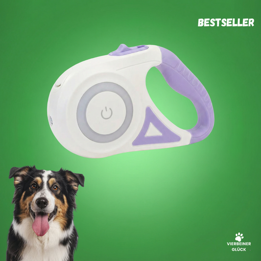 Einziehbare LED Hundeleine