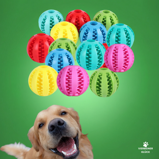 Zahnsäuberungs-Ball