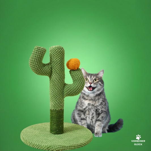 Kaktus Kratzbaum