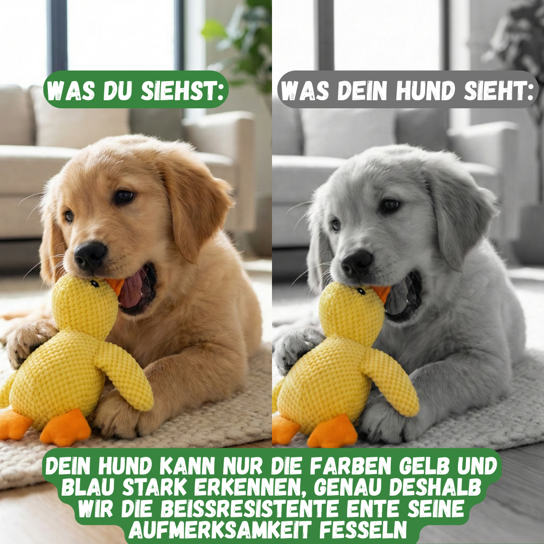 Beißresistente Ente